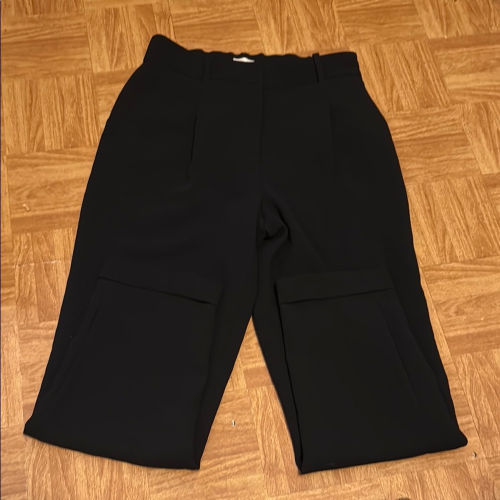 Aritzia WILFRED Dashwood high-waisted pleated crepe pants